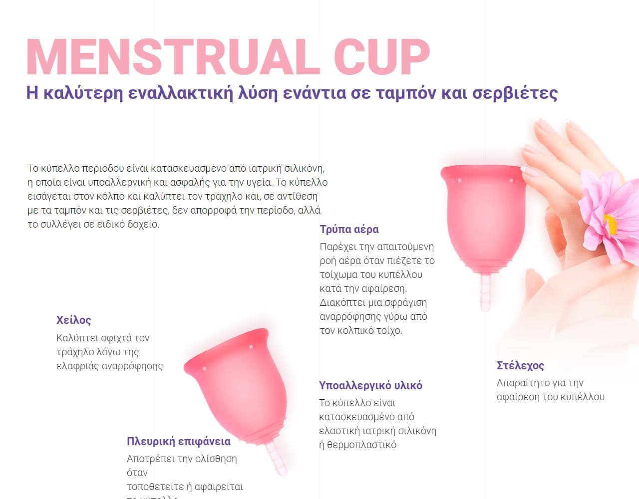 Menstrual Cup 2